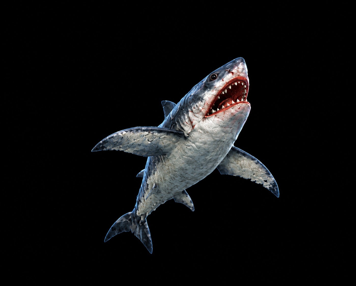 BabyShark